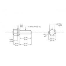 BULON VW GACEL/GOL/SENDA 12X36